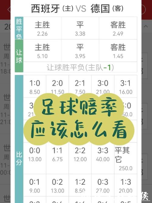 世界杯买球赔率怎么看实用讲解